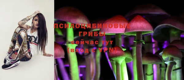 таблы Вяземский